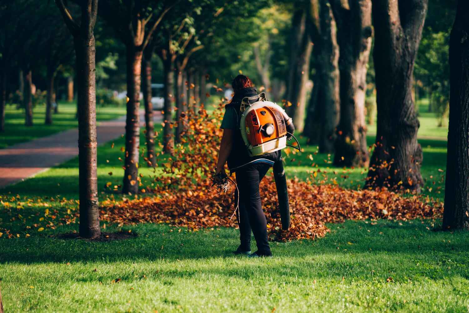 Best Tree Branch Trimming  in Mount Morris, MI